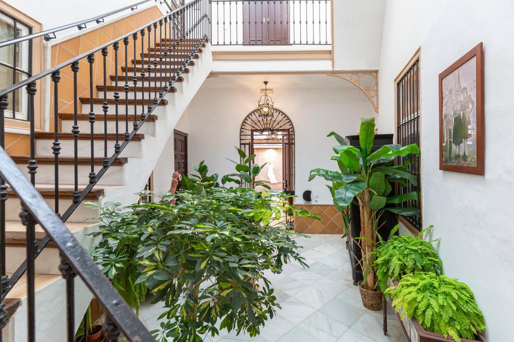 Descubrehome Penthouse Santa Cruz, Private Terrace Sevilla Exteriör bild